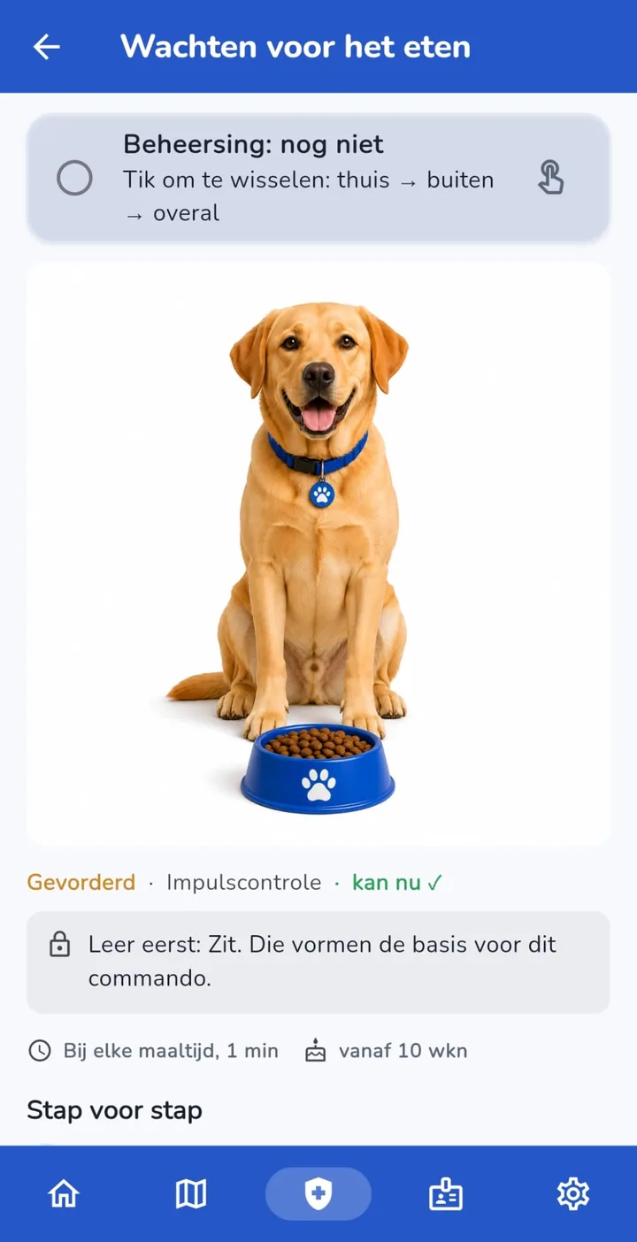 Hondentraining stap voor stap in de SuperDoggo-app