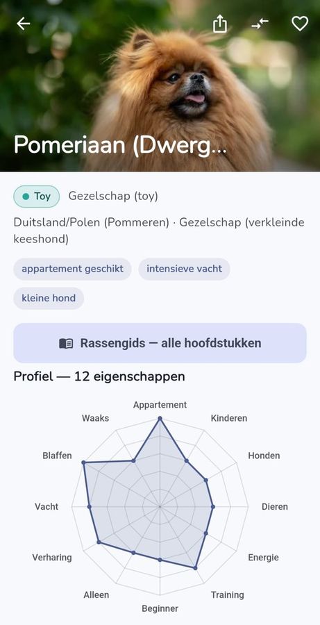 De rassengids in de app